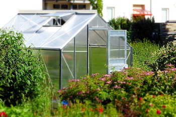 Benefits of Greenhouses and Polytunnels in Gardening