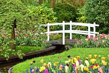Design Ideas for Small Gardens