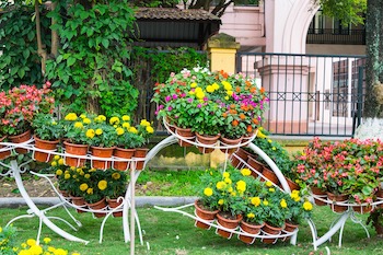 Garden Design Ideas