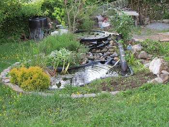 Water Feature