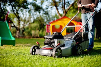Importance of Mowing Height: Mow Your Lawn the Right Way