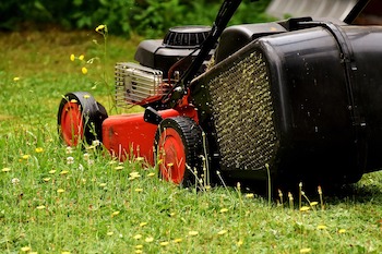 Lawn Repair