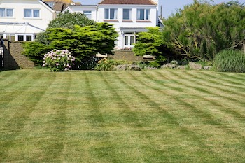 Lawns on a Slope or Hill: Maintain a Lawn on Challenging Terrain