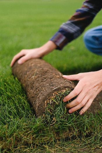 Laying a Turf Lawn in Your Garden