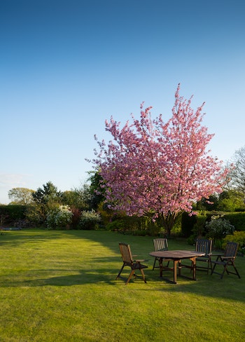 Low-Maintenance Lawns: Creating a Lawn that Requires Minimal Work