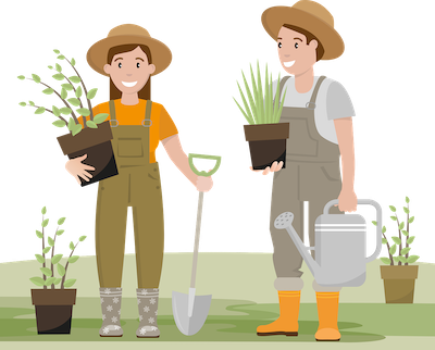 Never Stop Gardening