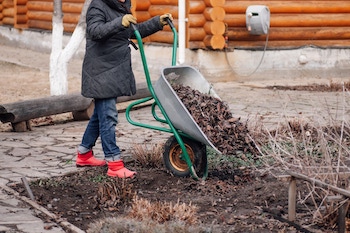 Using Mulch in Your Garden