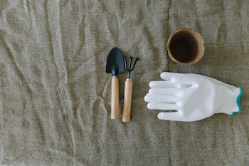 Gardening Tools: How to Use Them Safely