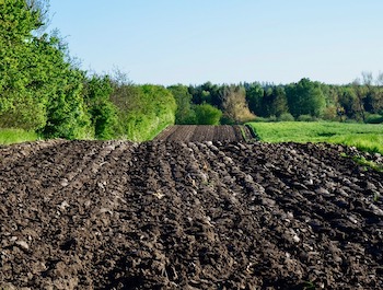 Guide to Garden Rotavators: What You Need To Know