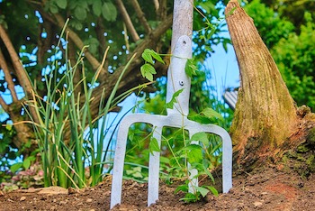 The Garden Fork: How to Use It and What It Can Do For Your Gardening Needs