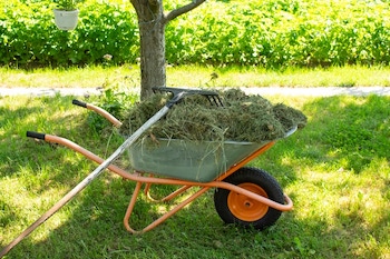 Tips for Choosing the Right Wheelbarrow