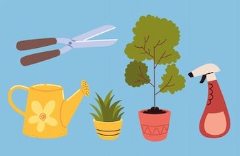 Watering Can and Spray Bottle Basics